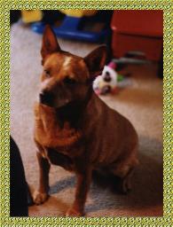 Pumpkin concentrating on me